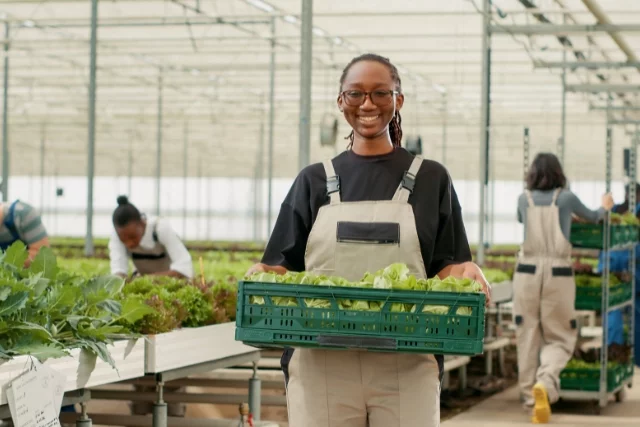 Someone working indoors in a sustainable vertical food production facility