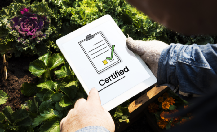 Logos depicting the various organic certifications in the UK