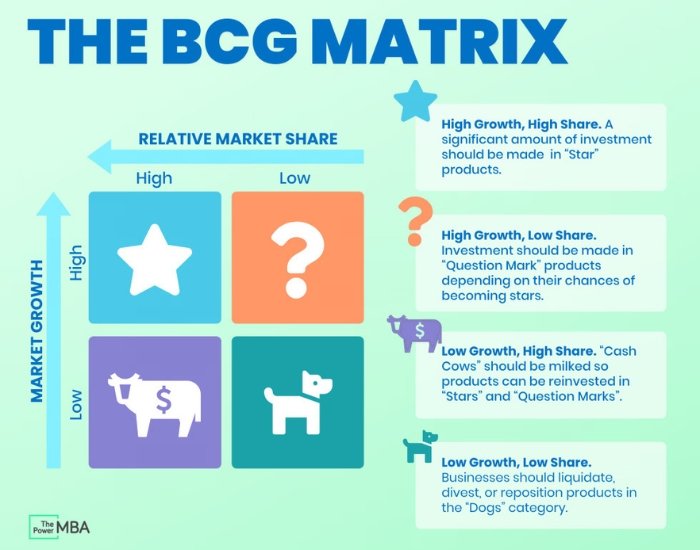 A graphic showing the BCG Matrix.