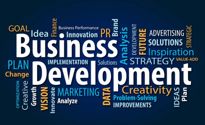 Business development word chart