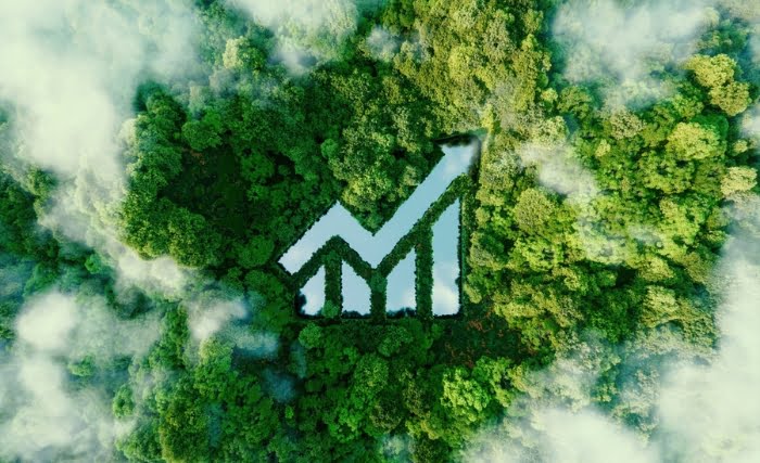 A stylised image representing sustainable growth - a chart superimposed onto an aerial shot of some trees