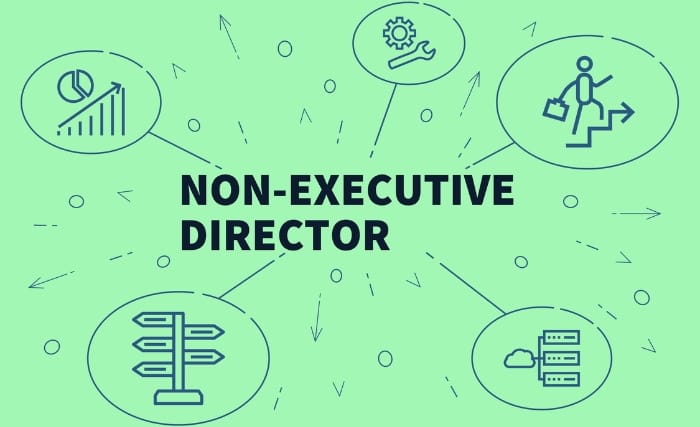 A spider chart showing different diagrams of a non executive director's role