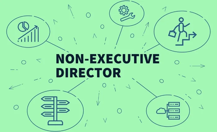 A spider chart showing different diagrams of a non executive director's role