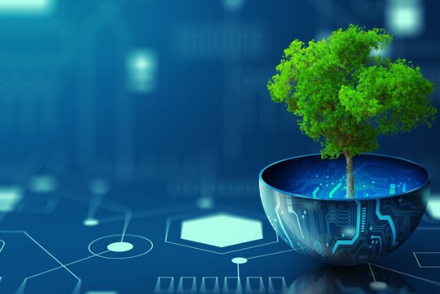 Stylised picture of a tree growing from a bowl featuring technological designs.