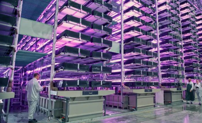 A nordic harvest vertical farm