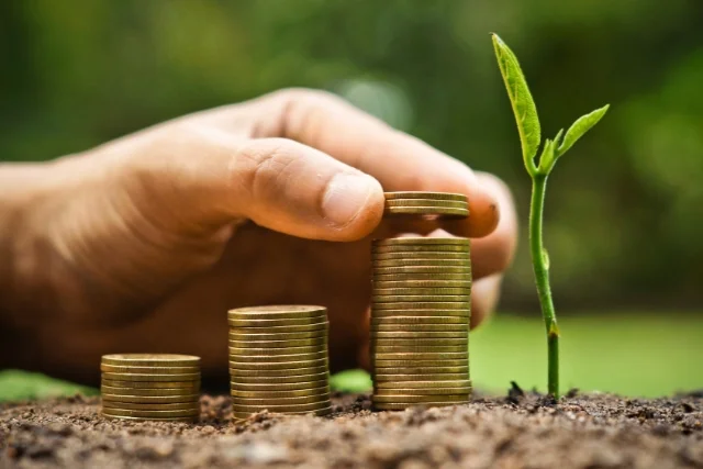 A stylise image of stacks of coins building up to a young plant shoot, representing Corporate Social Responsibility