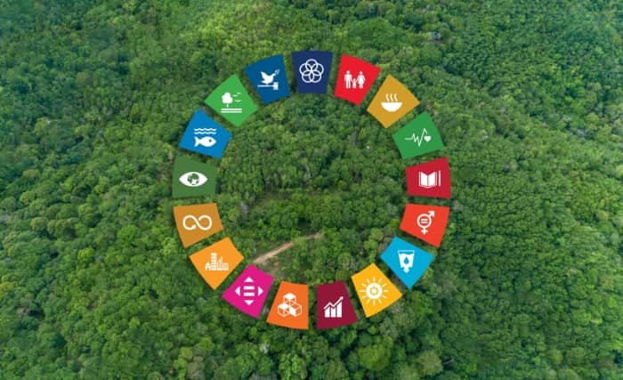 Icons representing sustainability goals arranged in a circle over a forest background