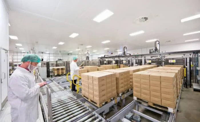 Workers in food factory with conveyor belt and stacked boxes