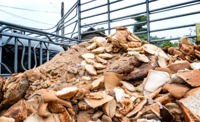 A large pile of discarded bread and food waste in an outdoor industrial area. The heap contains various types of bread, crumbs, and packaging, representing food waste from production processes or unsold goods awaiting disposal or recycling.